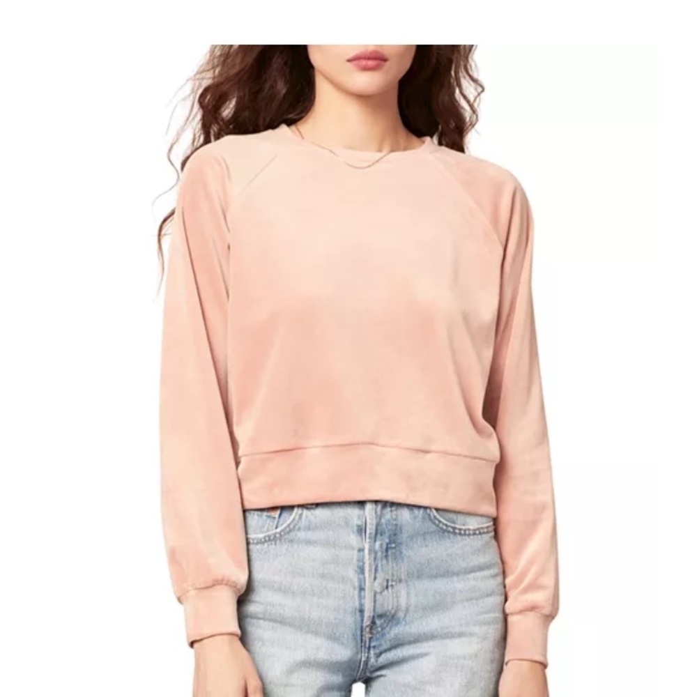 Cupcakes and cashmere nwt pink terry cloth top crew fuzzy fall casual mauve